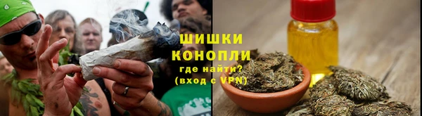 ГАЛЛЮЦИНОГЕННЫЕ ГРИБЫ Богородск