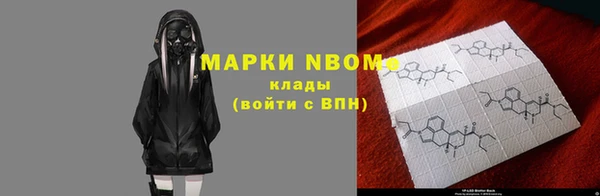 дмт Богородицк