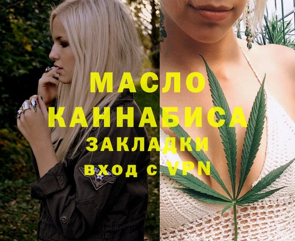 дмт Богородицк