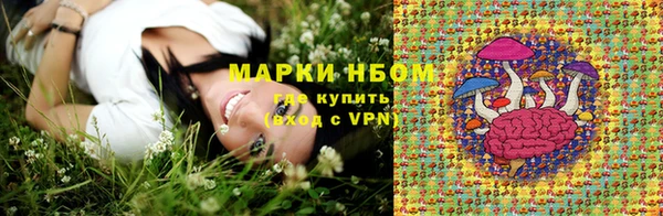 дживик Белокуриха