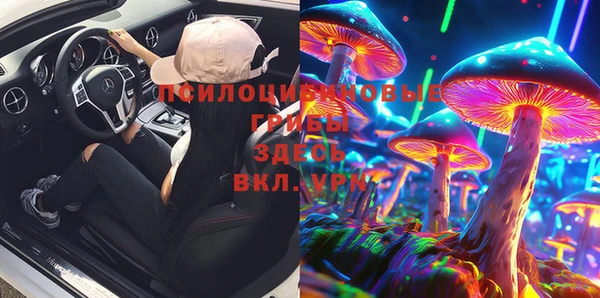 дживик Белокуриха