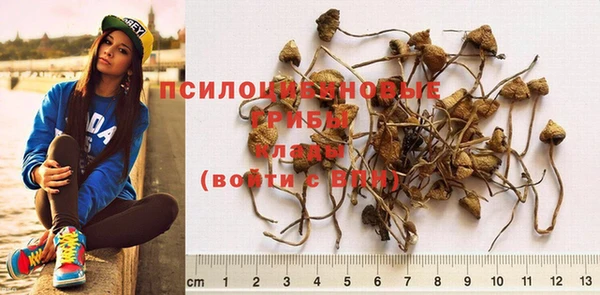 дмт Богородицк