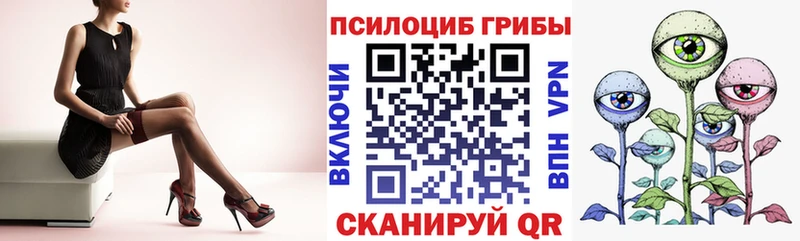 Галлюциногенные грибы GOLDEN TEACHER где купить это официальный сайт Сланцы