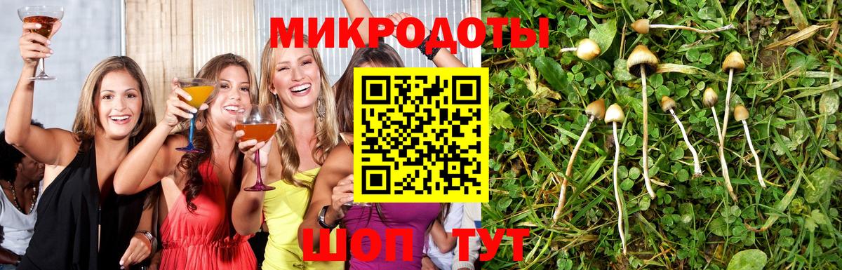 сколько стоит  Галлюциногенные грибы прущие грибы  Вход с VPN  Сланцы 